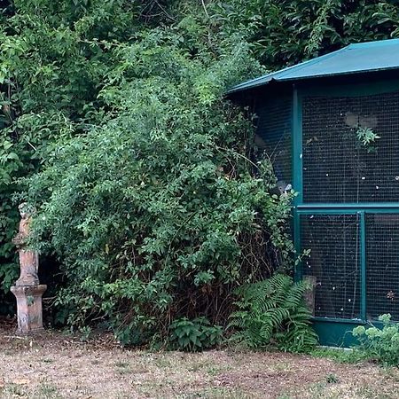 Maisonnette En Clairiere De Foret Gambais Bagian luar foto