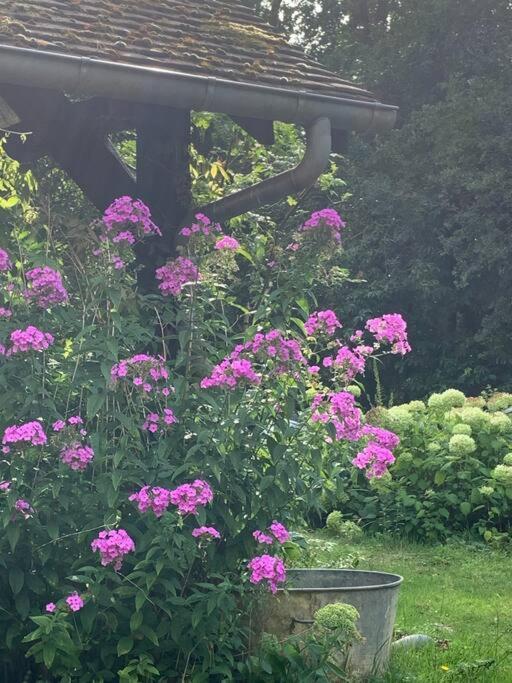 Maisonnette En Clairiere De Foret Gambais Bagian luar foto