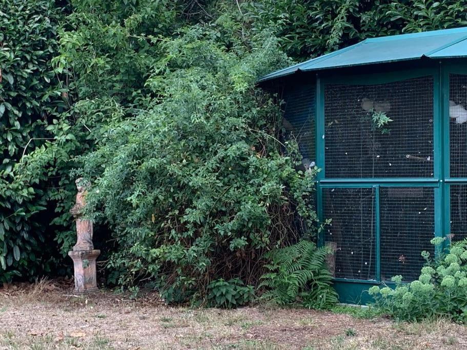 Maisonnette En Clairiere De Foret Gambais Bagian luar foto