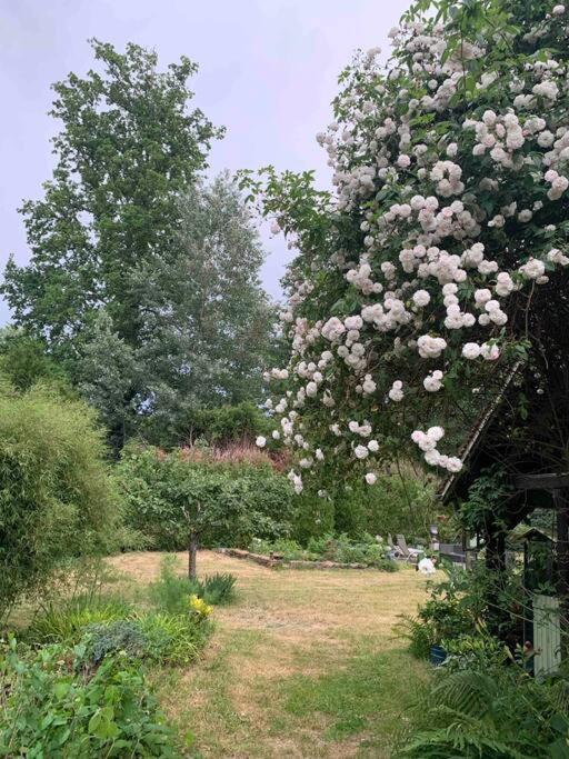 Maisonnette En Clairiere De Foret Gambais Bagian luar foto