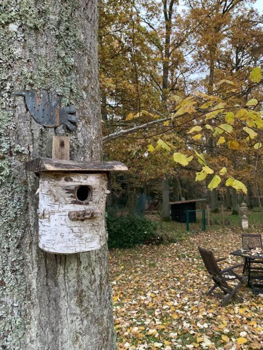 Maisonnette En Clairiere De Foret Gambais Bagian luar foto
